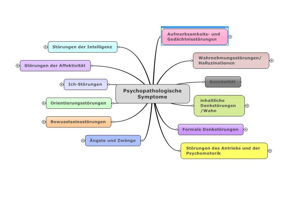 Bild der Psychopathologie